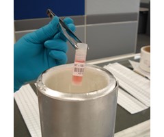 9,53mm bred x 6,40m längd