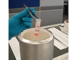 9,53mm bred x 6,40m längd