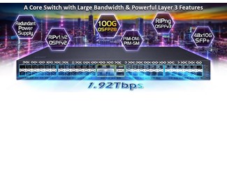 Layer 3 Managed Switch