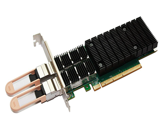 2 x QSFP28 PCI Express X16