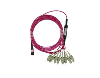 1 m Multimode 50/125 OM4
