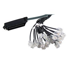 5m, RJ21 (Telco) till 24xRJ11, 24par