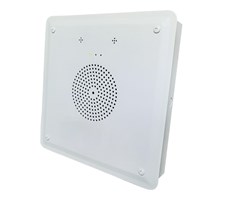 Infällt väggmontage, 91dB/1m/1W, Webb interface