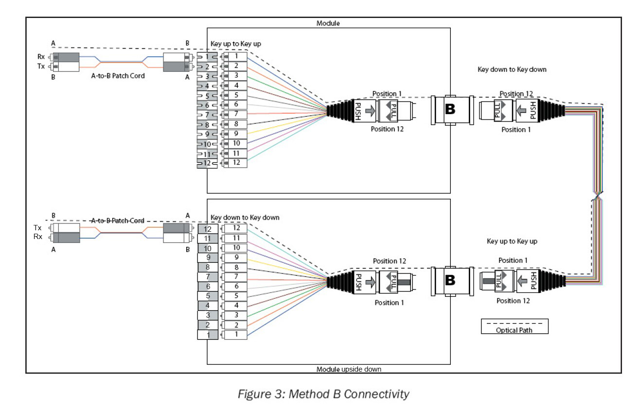  MPO-trunk-kabel type B