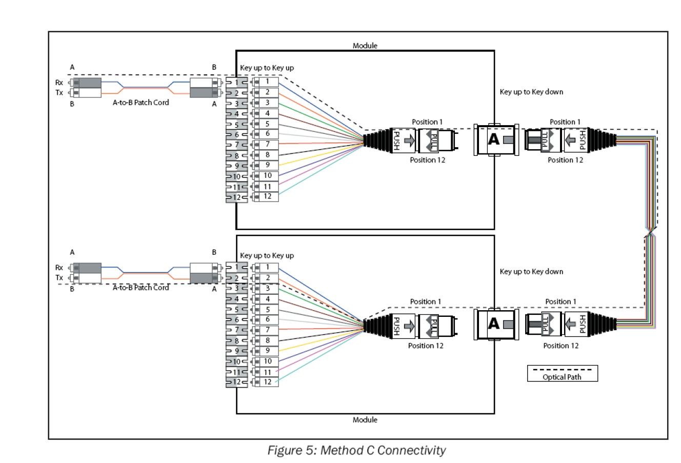 MPO-trunk-kabel av type C