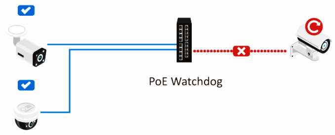 20109166 PoE watchdog.jpg