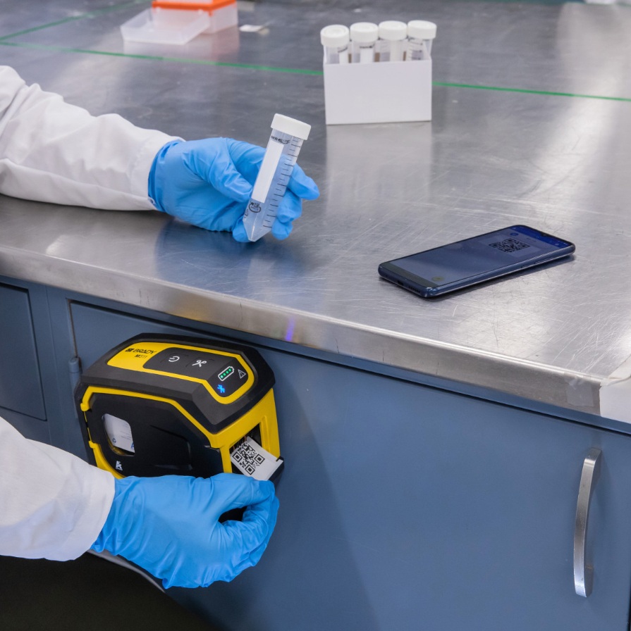 M511_lab_i_milj&ouml;.jpg