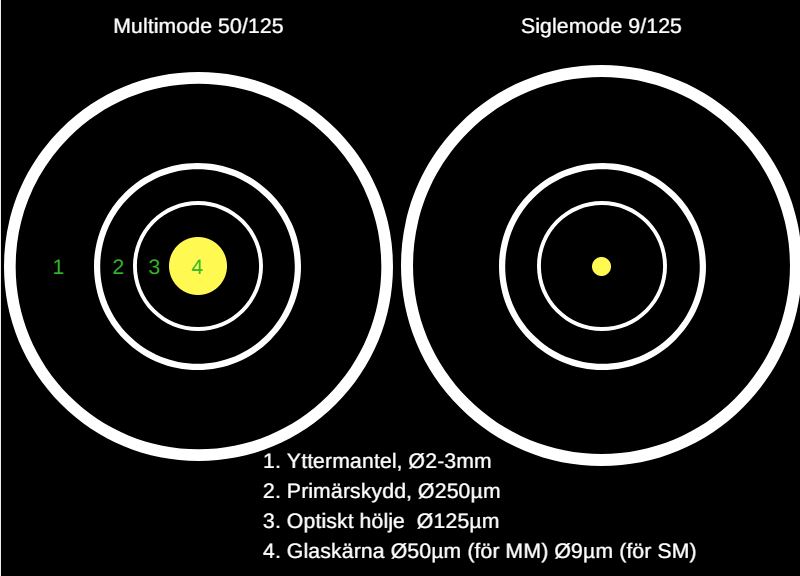 singlemode sammenlignet med multimode